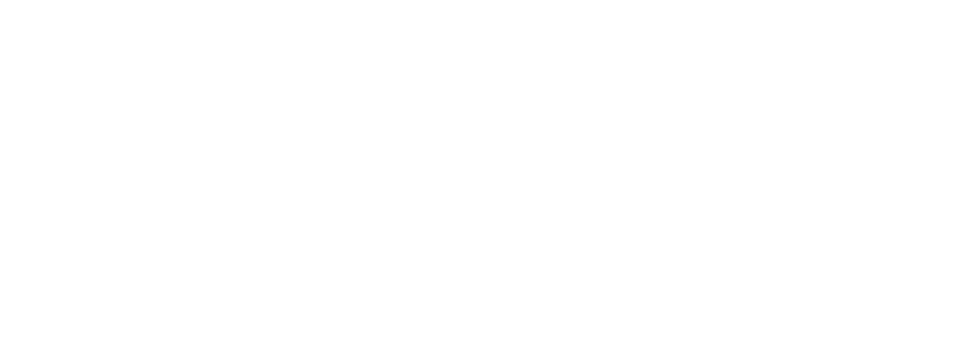 Logo Store